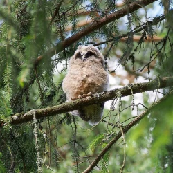 Page 96 of Noraneko Shoujo to no Kurashikata Ch. 4-9