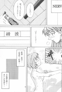 Page 19 of Youseiki Evanlolibon