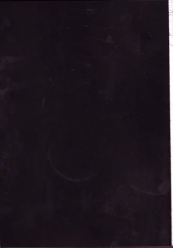 Page 2 of Caesar Salad Ontama Nose