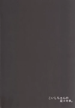 Page 4 of Koishi-chan no Ashikokibon.