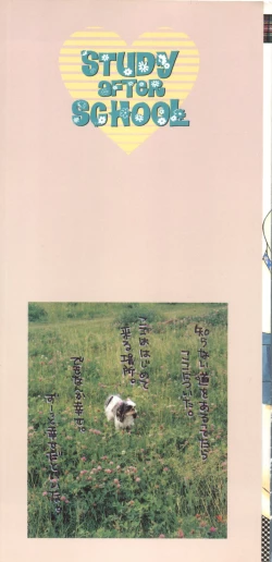 Page 3 of Study After School