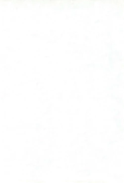 Page 4 of GENERAL FOUL-UP