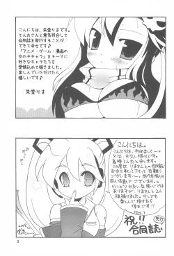 Page 3 of Rimaten