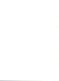 Page 2 of ORANGE CRUSH KMGR-E Subcharacter EDITION