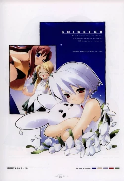 Page 21 of Suigetsu Visual Fan Book