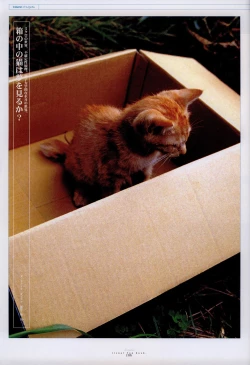 Page 65 of Suigetsu Visual Fan Book