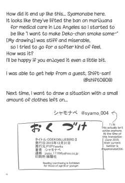 Page 17 of ODEKOBLUEBIRD II