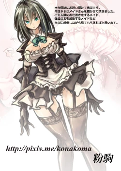 Page 26 of Mixed Wrestling Japan 2016