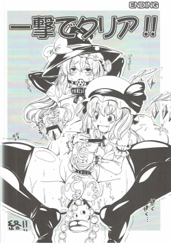 Page 13 of Shiyouzumi Koumakan