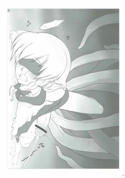 Page 30 of Shiyouzumi Koumakan