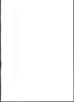 Page 2 of Pokemon Trainer Alola no Sugata