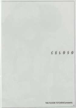 Page 3 of CELOSO