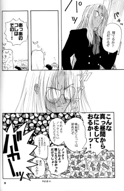 Page 28 of The Sensual Education