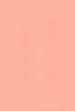 Page 29 of Lolipri Pedochen!