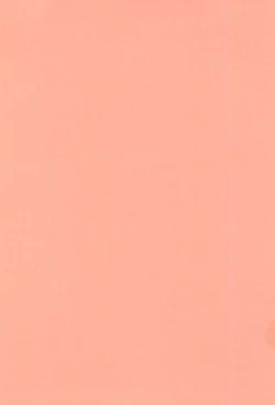 Page 4 of Lolipri Pedochen!