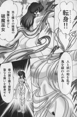 Page 19 of Seirei Tokusou Fairy Saber Inchuu Jiken