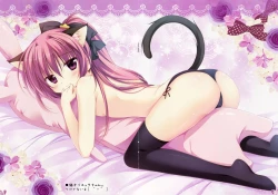 Page 8 of Last White