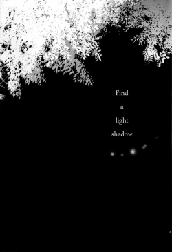 Page 2 of Find a light shadow