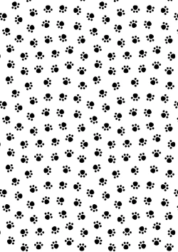 Page 2 of Shiri Ana Hore Wanwan