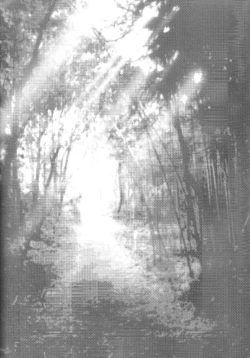 Page 3 of Yoru wa Mijikashi Koiseyo Shounen