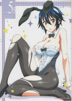 Download Nisenisekoi 5.5