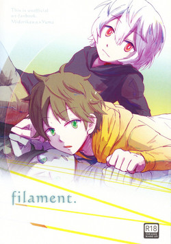 Download filament.