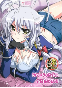 Page 1 of Wonderful Princess