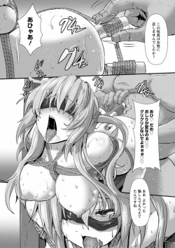 Page 17 of Joushuuhan