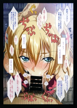 Page 29 of SISTERS2012-2015