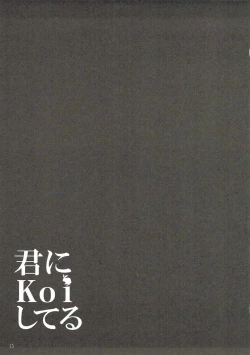 Page 14 of Kimi ni koi Shiteru 4