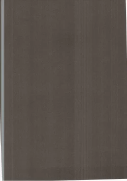 Page 3 of Andira Shiru