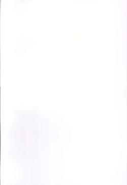 Page 2 of Kirara-chan to Natsuyasumi no Taiken