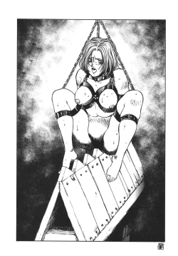 Page 14 of Anko Kudou Shinkaigyo Kaiga Senshuu