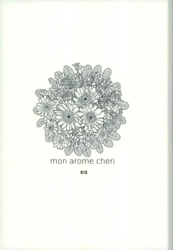 Page 2 of mon arome cheri