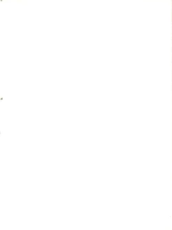 Page 2 of Yamainu Volume. 2