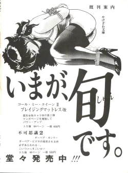 Page 2 of PATLABOR the Adult 2