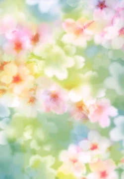 Page 24 of Sakura Mankai Roman no Arashi!