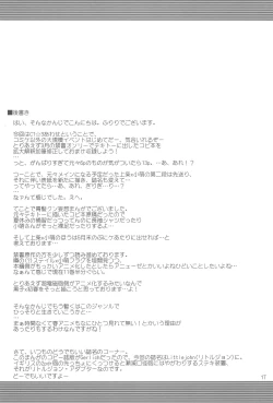 Page 17 of Littlejohn