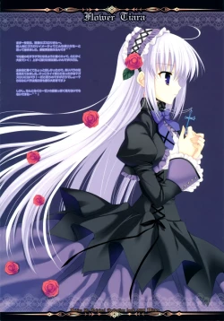 Page 4 of FLOWER TIARA