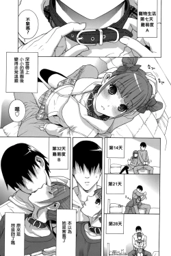 Page 153 of Imouto Shojo Gensou