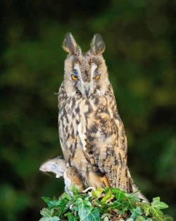 Page 27 of Ashita, Sekai ga Owarunara | 倘若、明天就是世界末日