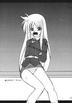 Page 33 of Storage Ignition