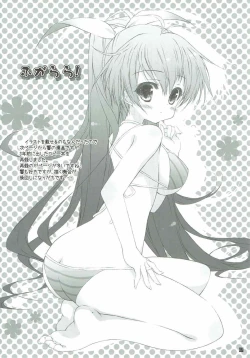 Page 6 of Takane Bunny