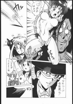 Page 29 of うさぎがぴょんR