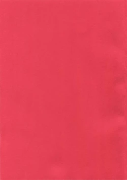 Page 2 of Partner Nante iwa Senai!