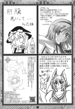 Page 252 of Shoujo Yousai Rengashuu Touhou Inreika