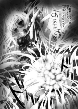 Page 11 of Peru sawa