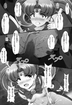 Page 30 of Chibiusa Shiiku Nisshi