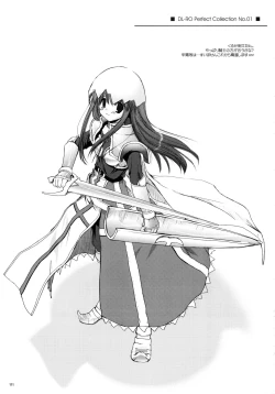 Page 110 of DL-RO Soushuuhen 01