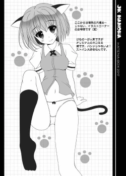 Page 21 of JK NANOHA